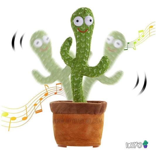 Cactus bailarín CACTUSIN®